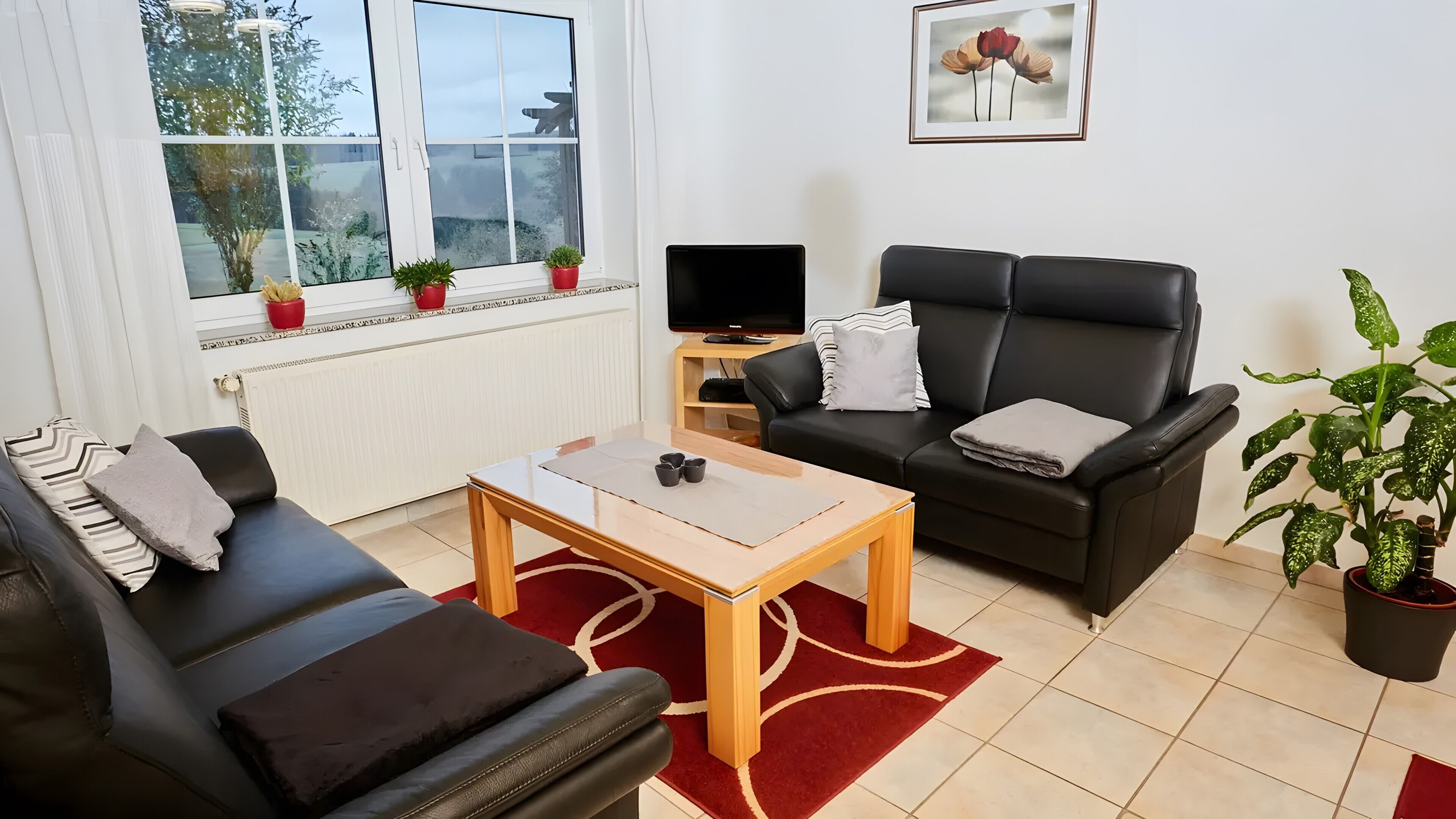 Una sala de estar con un sofá negro, una mesa de centro de madera, un televisor y una ventana con plantas.