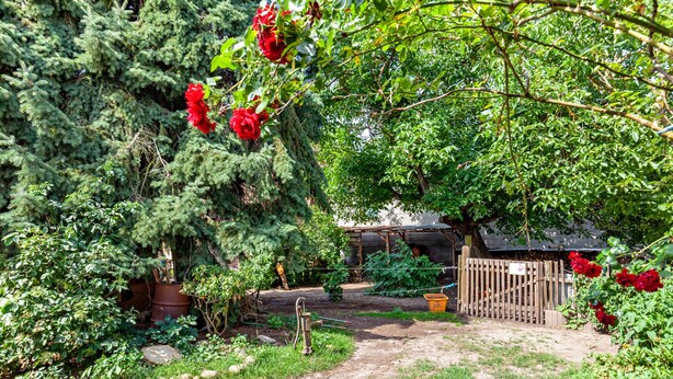Un jardín con valla de madera, un sendero y diferentes plantas.