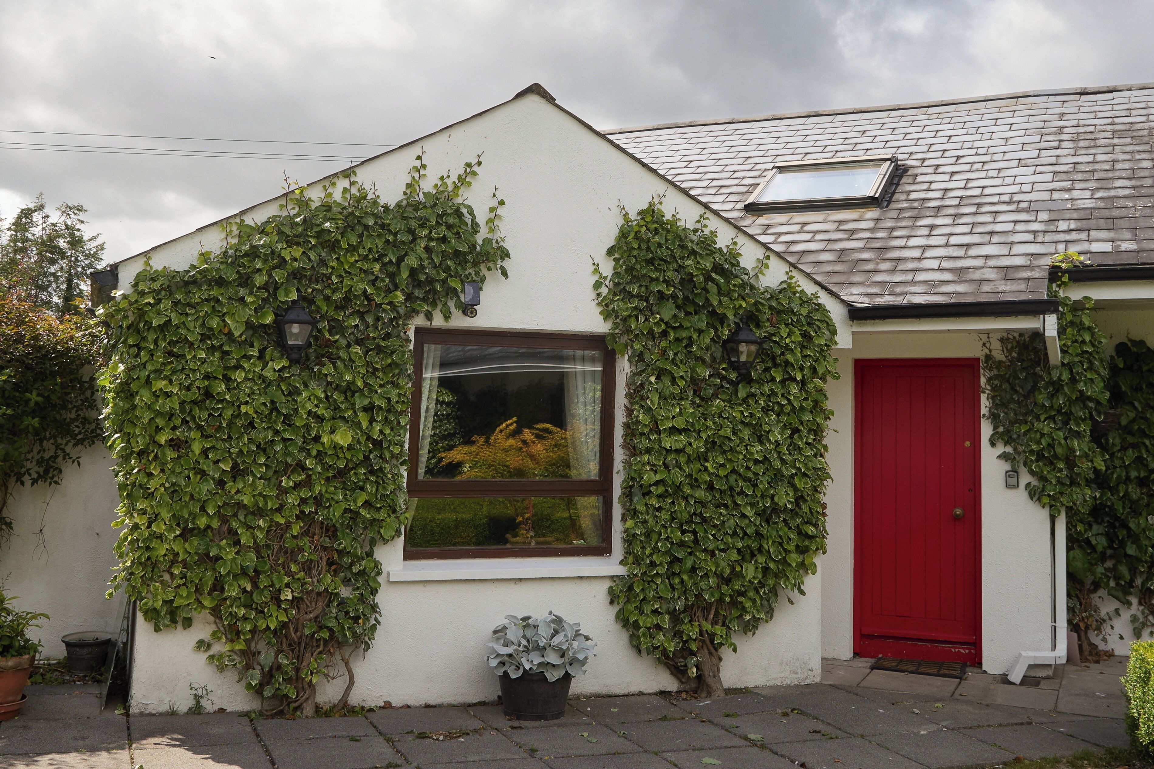 A building with ivy-covered walls, a red door, and a window with a view of greenery.
