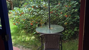 Eine Terrasse mit Tisch und Stuhl unter einem Sonnensegel, umgeben von üppigem Grün und blühenden Pflanzen.