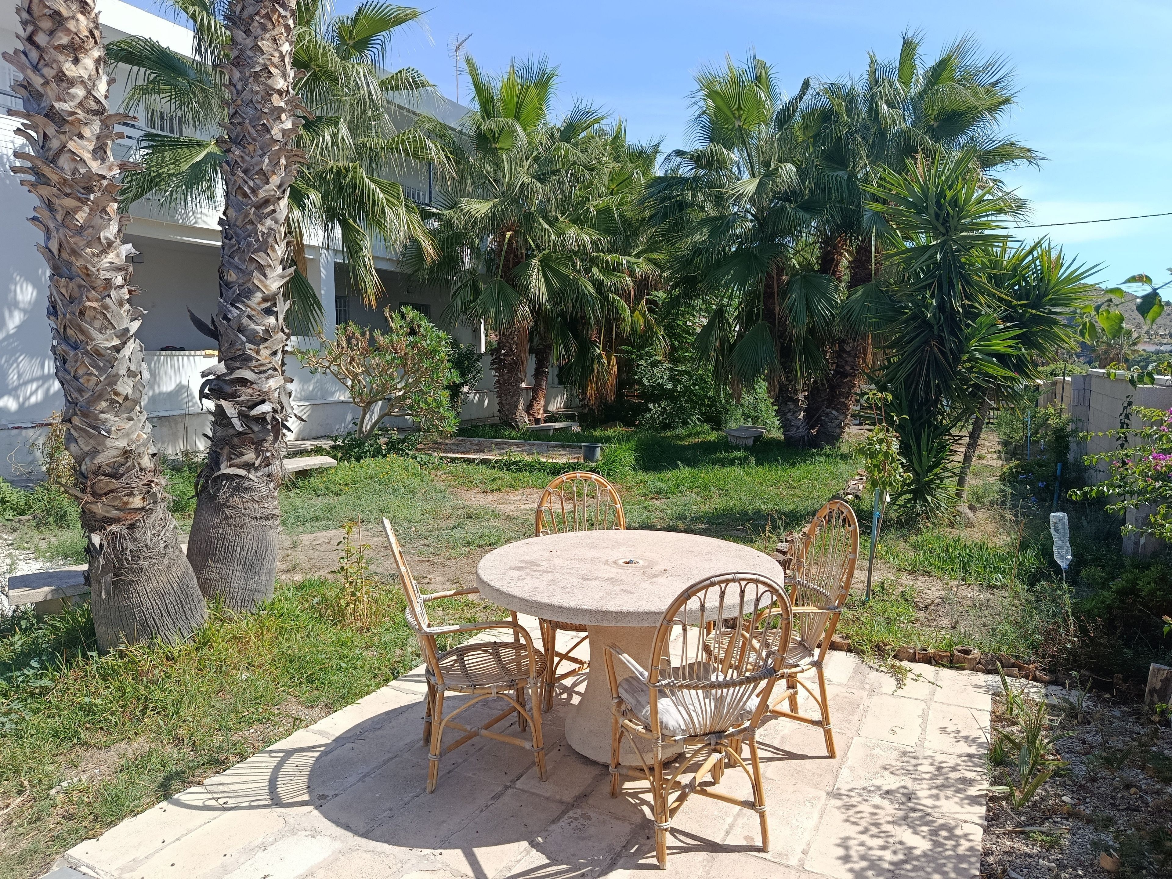 Un patio al aire libre con una mesa redonda y sillas de mimbre, rodeado de palmeras y follaje.