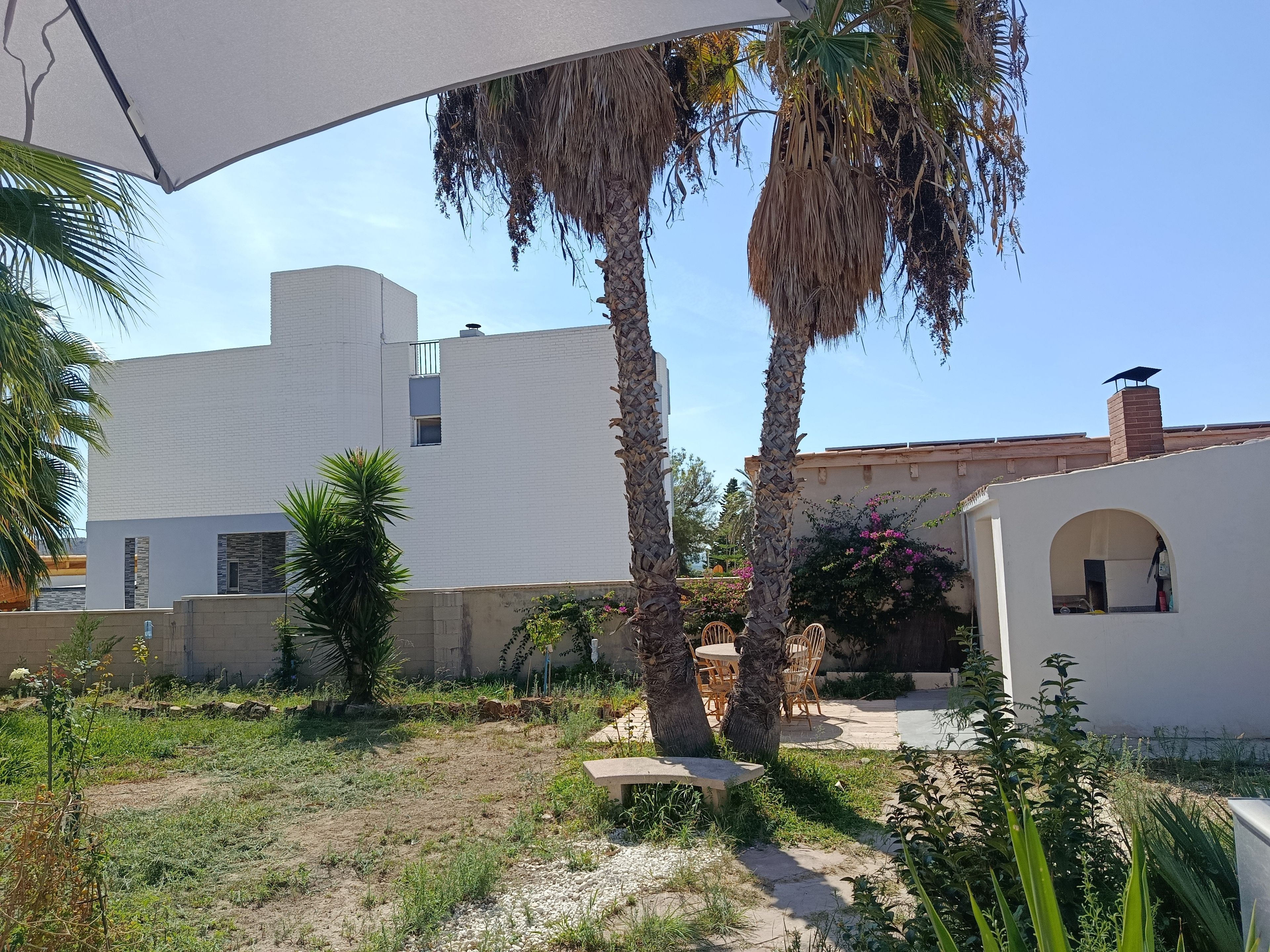 Un patio con un edificio blanco, palmeras y una zona de estar.