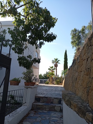 A stone staircase leading to a building entrance, surrounded by potted plants and a palm tree. - Wonderful Villa with Private Pool and Barbecue (Alicante (Alacant))