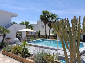 A swimming pool with lounge chairs, a cactus, and a modern building. - Wonderful Villa with Private Pool and Barbecue (Alicante (Alacant))