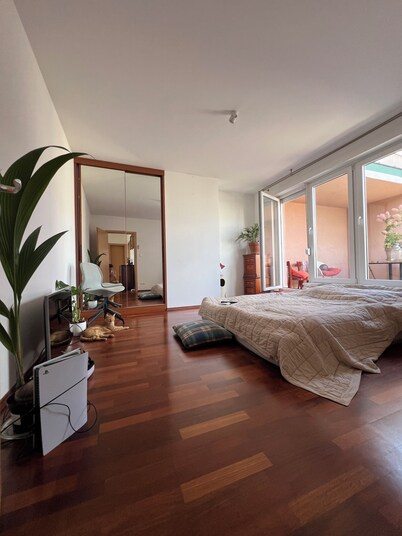 Creative apartment full of light