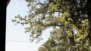 Terrassa exterior amb dues cadires de vimetla, un terra de fusta i una tanca de fusta.