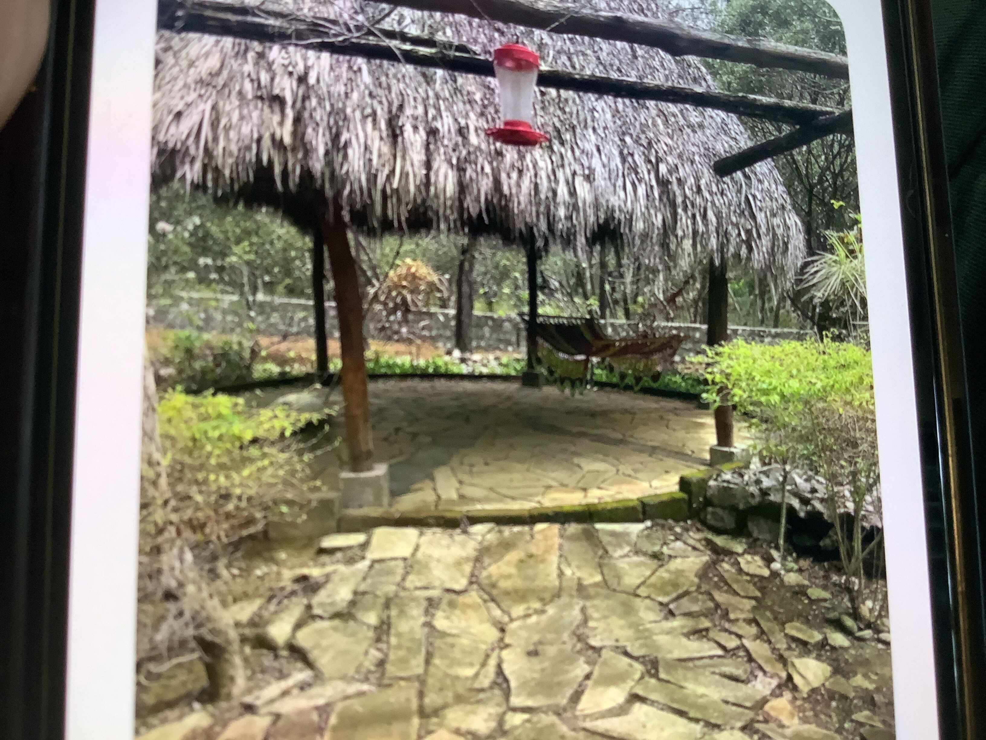 A thatched-roof structure with a hanging red object, stone paving, and greenery.