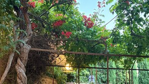 An outdoor patio area with a table set for dining, surrounded by chairs, and a bench. - The Hôtel Particulier 1900, a 500m² country house in the Var region (Pignans)