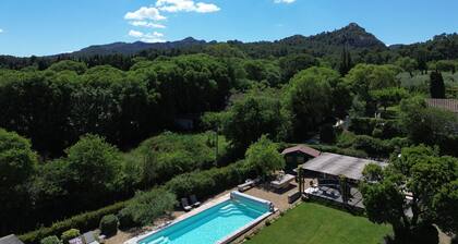 THE PROPERTIES: Air-conditioned and with a heated pool, in the Alpilles park