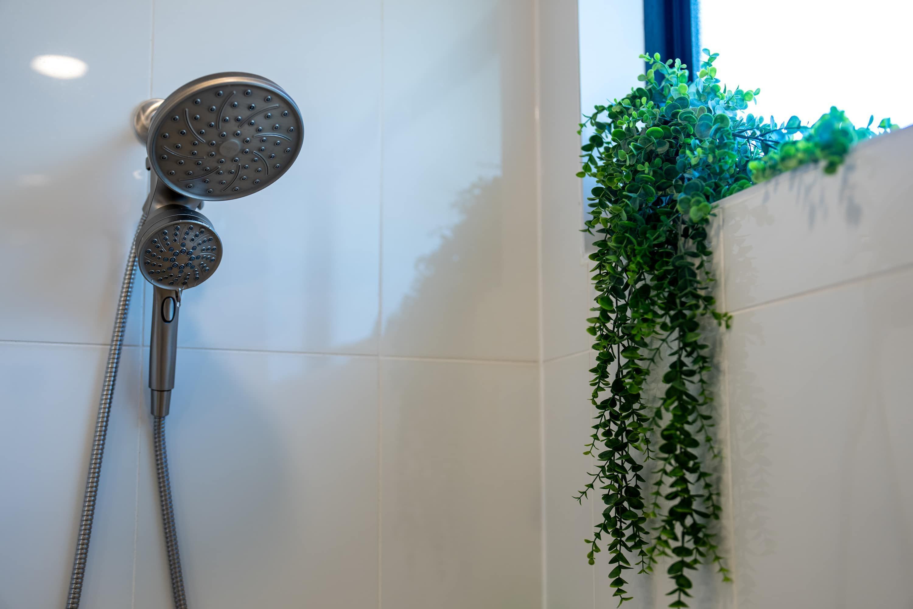 Chuveiro com acessório manual e chuveiro fixo na parede, uma planta pendente e uma janela com iluminação natural.