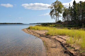 Eine natürliche Landschaft mit einem See, sandigem Ufer, Wiesen und Bäumen.