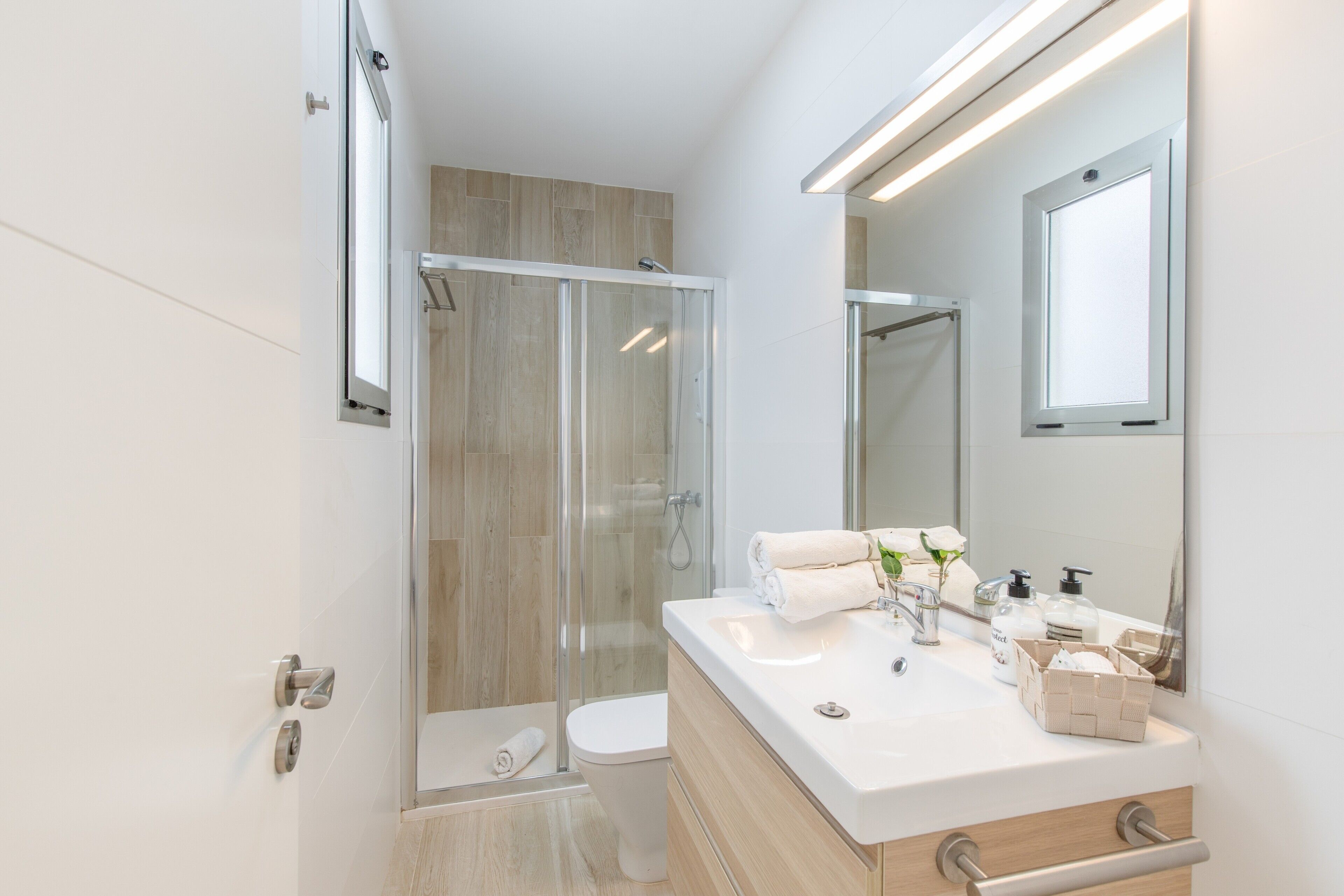Shower, hair dryer, towels