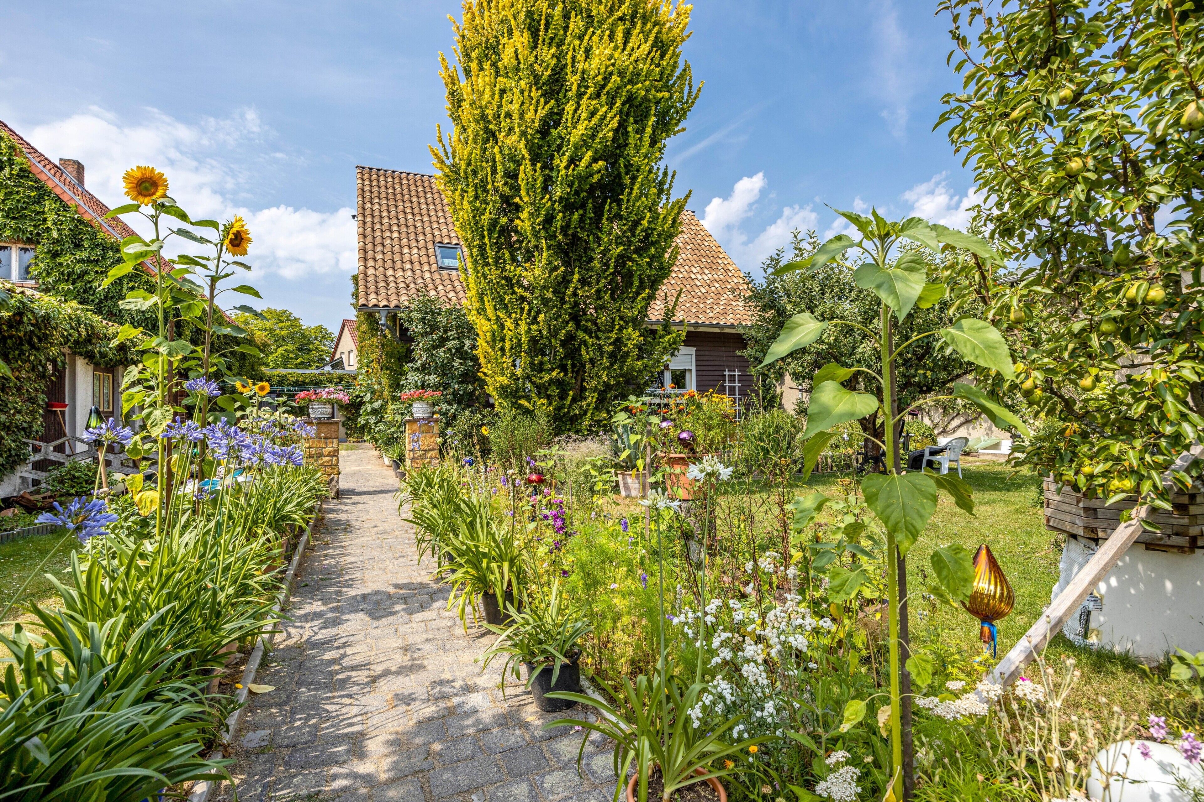 Terrein van de accommodatie