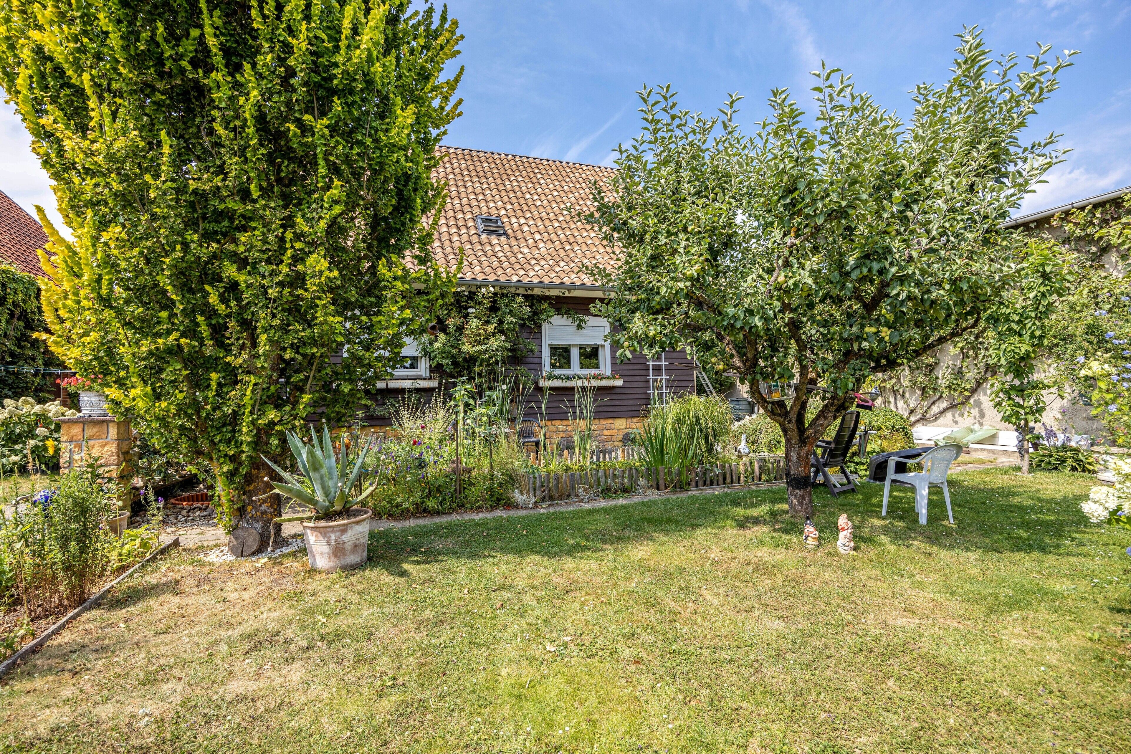 A residential garden with a house, a lawn, and various plants.