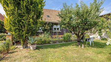 A residential garden with a house, a lawn, and various plants.