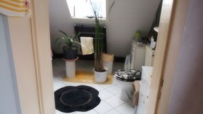 Un pasillo estrecho con una planta en maceta, un tapete negro y un armario blanco.