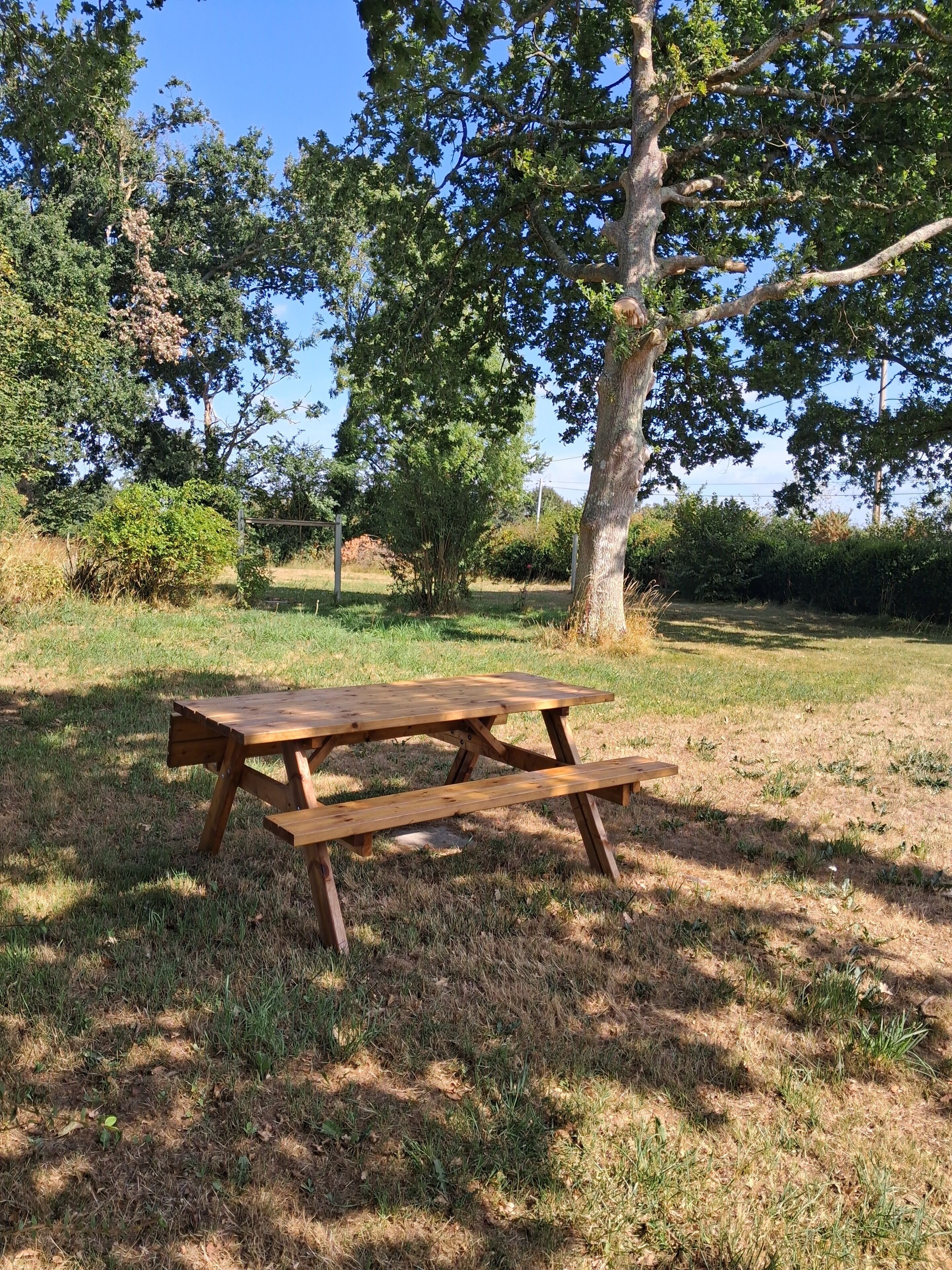 Een houten picknicktafel in een gazon, met bomen en struiken op de achtergrond.