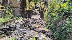 Ein Steinweg führt zu einem Gebäude mit einer Holztür, umgeben von viel Grün und einem kleinen Bach.