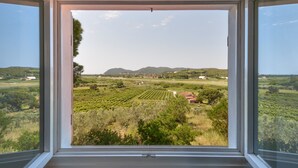 Ein Fenster mit Blick auf einen Weinberg und sanfte Hügel in der Ferne.