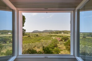Ein Fenster mit Blick auf einen Weinberg und sanfte Hügel in der Ferne.