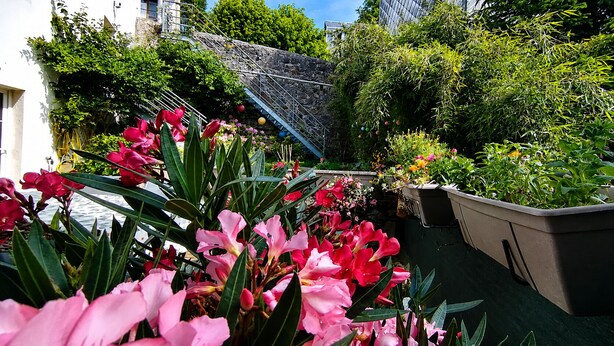 A garden with pink flowers, a stone wall, and a metal staircase. - Mountain Charm in La Bourboule - Apartment with Terrace and Small Garden (La Bourboule)