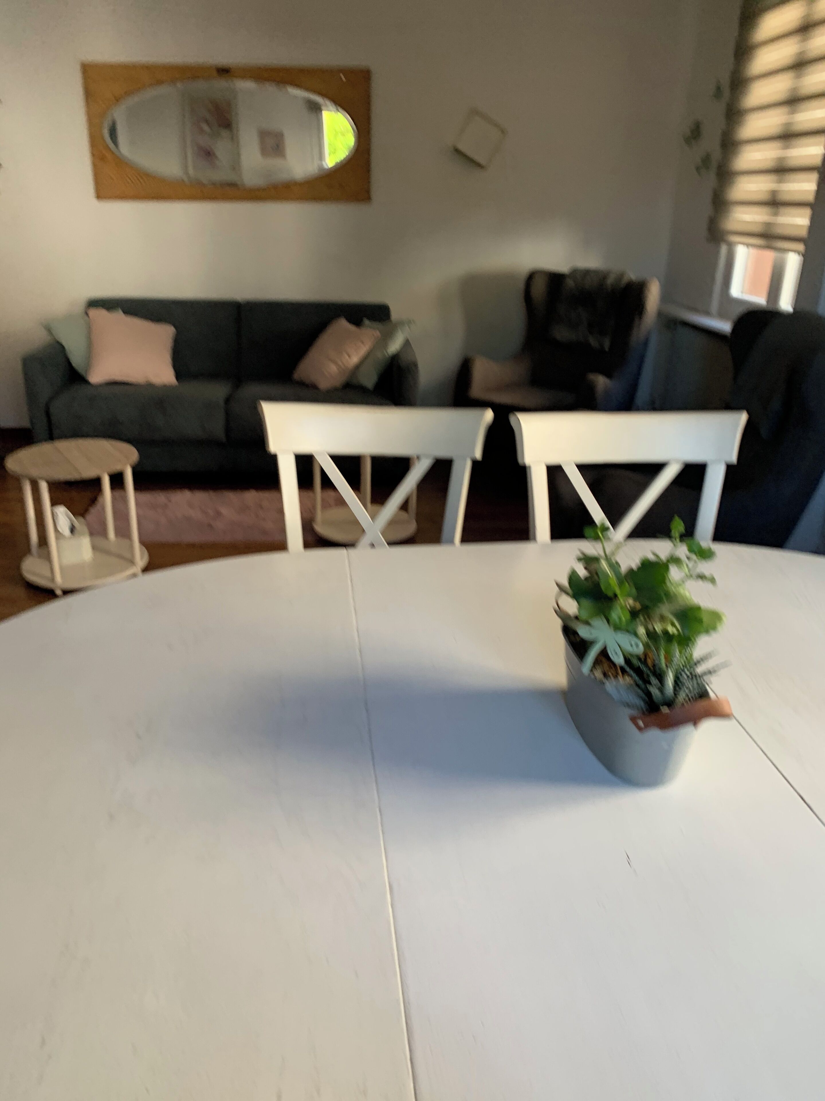 A living room with a round table, two white chairs, a grey sofa, and a small potted plant.