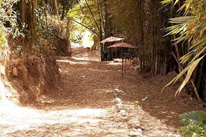 Property grounds - Maricao • Escapada tranquila • Privado + Auto registro de llegada (Maricao)