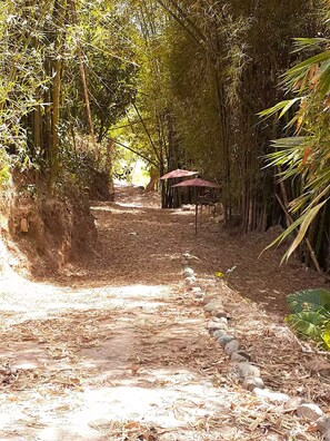 Property grounds - Maricao+ Montaña+ Brisa Fresca+ Ideal para Parejas (Maricao)