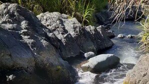 Un arroyo natural con rocas y vegetación.