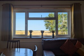 Una habitación con vistas a través de una ventana, una mesa de comedor, un sofá y un radiador.