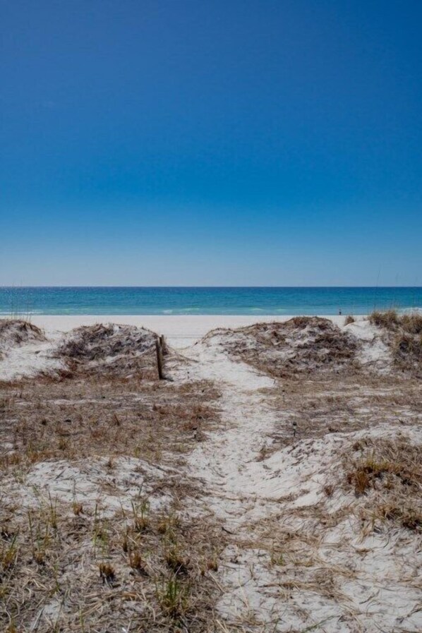 A beach path leading to the ocean with dunes and sparse vegetation. - Beachfront Townhouse(10) Pet Friendly Covered Deck (Panama City Beach)