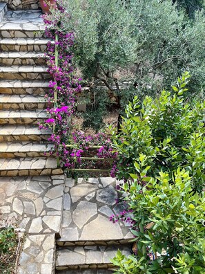 A stone staircase leading to a garden area with flowering plants and greenery. - Almond Apartment (Vuno)
