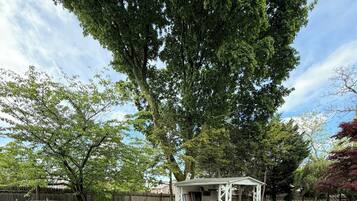 A picnic area with benches and a gazebo.