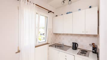 Apartment (Two Bedroom Apartment with Terrace) | Private kitchen | Fridge