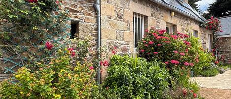 Detalle exterior