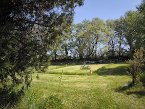 A grassy outdoor area with trees, a bicycle, and a traffic cone. - Provençal villa, lagoon-style pool, pétanque, garden / Luberon and Alpilles – sleeps 14 (Mallemort)