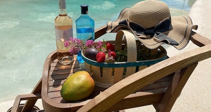 Provençal villa, lagoon-style pool, pétanque, garden / Luberon and Alpilles – sleeps 14