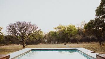 Signature Villa, Park View | Pool