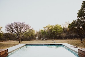 Villa Signature, vistas al parque | Piscina | Una piscina al aire libre, sombrillas, tumbonas