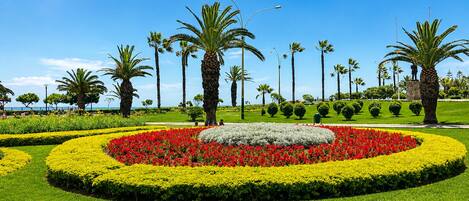 Jardines del alojamiento