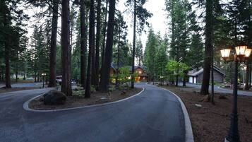 Property grounds