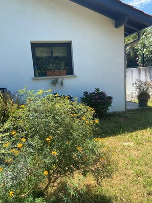 A white building with a window, a small garden with yellow flowers, and a potted plant on the right. - House located 15 minutes from the main beach in Hendaye, in a lush, peaceful setting. (Hendaye)