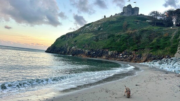 A beach with a dog, a rocky cliff, and a castle-like structure. - The View (Criccieth)