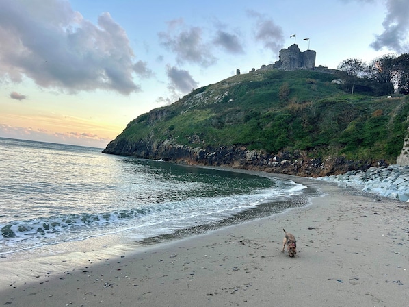 Ein Strand mit Hund, einem felsigen Felsen und einer burgähnlichen Struktur.