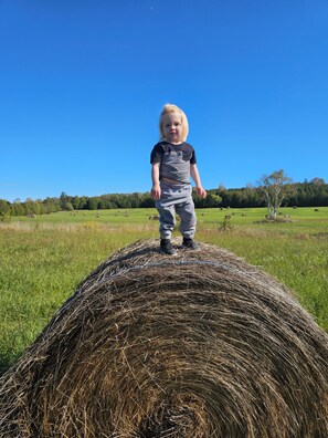 A child standing on a hay bale in a grassy field with trees in the background.