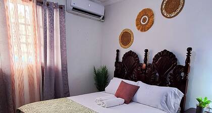 Private Tropical Room with A/C in a Shared Apartment | Villa Valencia