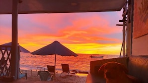 Blick auf einen Strand bei Sonnenuntergang, ein Hund und Liegestühle.