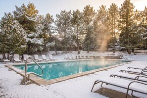 Una piscina con escalera metálica, rodeada de nieve, árboles y sillones de descanso, con una valla y árboles al fondo.