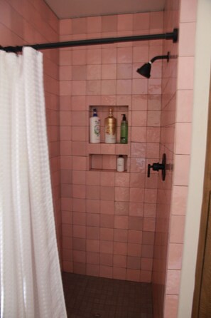 Ducha, secador de pelo, toallas y jabón