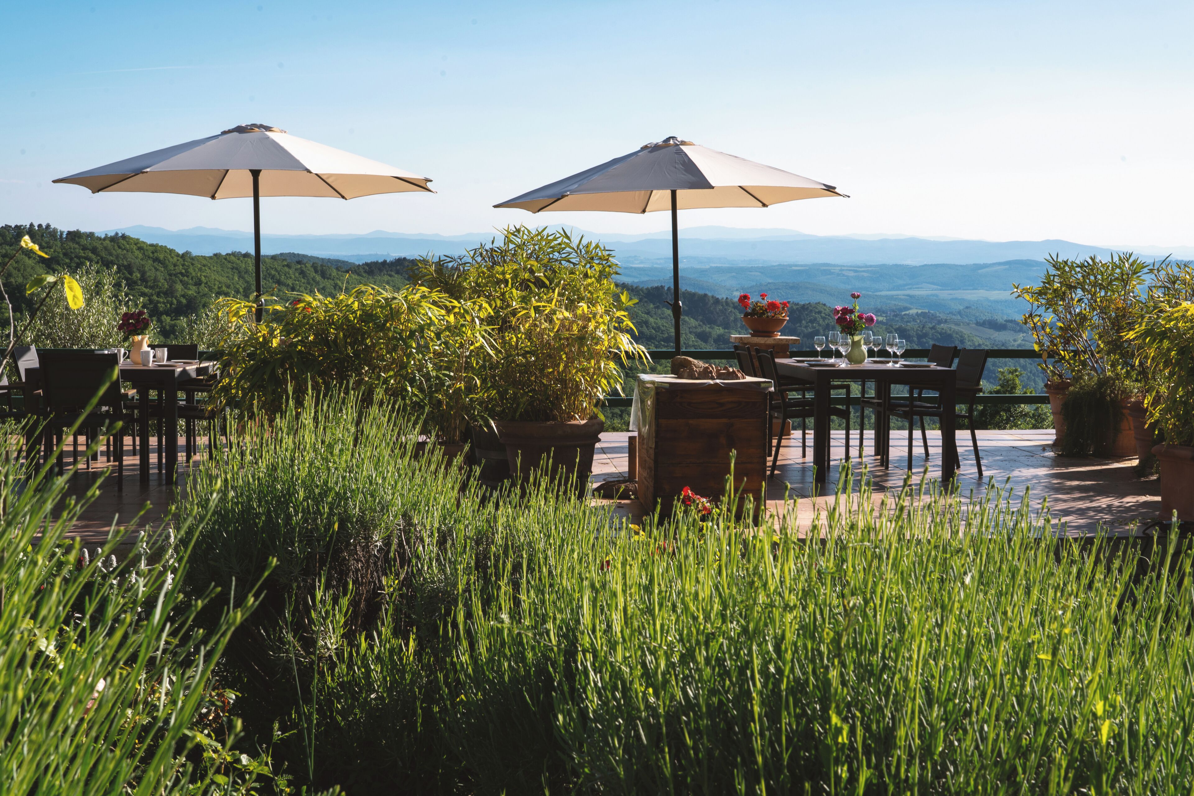 Edera | Terrasse/patio